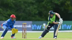 کرېکټ