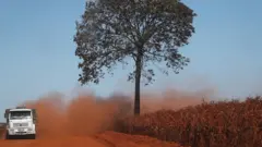 Panoramic view of a lonely tree and a truck on a dusty dirt track in the Amazon region of Rondonia in Brazil