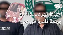 القبض على عصابة حاولت سرقة ماسة وردية نادرة بـ 25 مليون دولار في دبي
