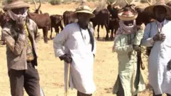 Awọn darandaran mẹrin to de akẹtẹ mu ọpa lọwọ, awọn ọpọ maalu wa lẹyin wọn.
