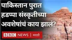 पाकिस्तानातील पुराचा तिथल्या सिंध प्रातातील हडप्पा संस्कृतीच्या अवशेषांना मोठा फटका बसला आहे.