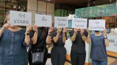 กลุ่มผู้ถือหุ้นกู้สตาร์ค