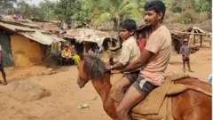 దాయర్తి