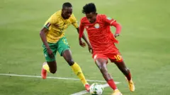 የዋልያ ተጫዋች በሜዳ ላይ