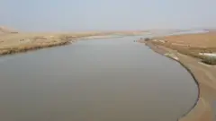امو سيند