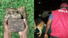 Papako ofurufu Eko
