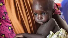 Wata mata dauke danta