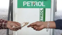 पेट्रोलियम