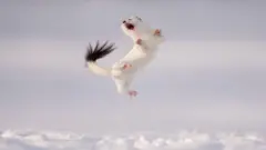 Jose Manuel Grandío