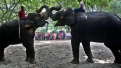 হাতির ব্যবহার বন্ধ হয়ে হতে পারে