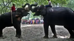 হাতির ব্যবহার বন্ধ হয়ে হতে পারে