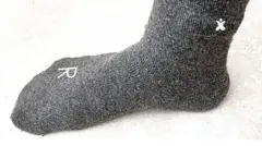 Kaalsii addaa