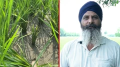 ਪਰਮਜੀਤ ਸਿੰਘ 