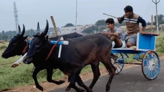 ரேக்ளா பந்தயம்