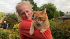 cats