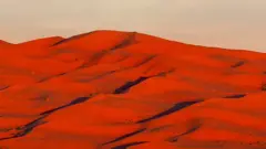 Sahara