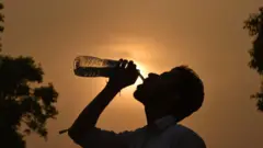 இந்தியாவில் வெப்ப அலை