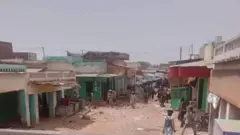الجنينه