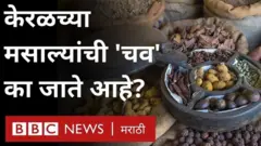 केरळ निवडणूक, मसाले