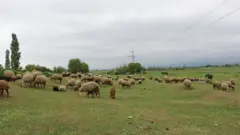 Xaçmazın Çarxı kəndi