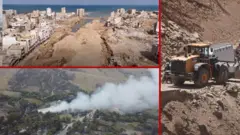 المغرب وتونس والجزائر وليبيا