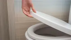ٹوائلٹ سیٹ