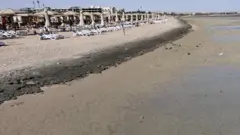 Asoleadoras vacías en el resort de Sahl Hasheesh, Hurghada