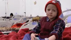 اليمن
