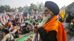 પ્રતીકાત્મક તસવીર