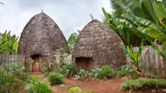 ናይ ጋሞ ባህላዊ ገዛ