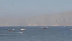 होर्मुज़ स्ट्रेट के पास मौजूद व्यवसायिक जहाज़ (फ़ाइल फ़ोटो)