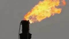 গ্যাস ও বিদ্যুতের দাম এখন থেকে সমন্বয় করবে সরকার