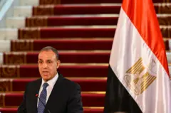 بدر عبدالعاطی، وزیر خارجه مصر