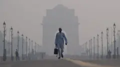 इंडिया गेट पर एक राहगीर