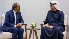 Pireezidaantii Somaaliyaa Hasan Sheek Mohamud fi Pirezidantii UAE Mohaammad Bin Zaayid Al Nahyan