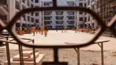 شاہین سکول