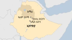 ዓለም ከተማ የመርሐቤቴ ወረዳ ዋና ከተማ ነች