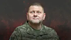 Залужний