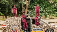 Àwòrán àwọn ẹ̀ṣọ́ ààbò Amotekun