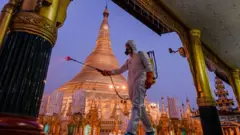 ပိုးသတ်ဆေးဖြန်း ၂၀၂၀ မတ်လ