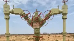 Ururka ONLF ayaa ka biya diidsan qaabka ay Dowladda dhexe ee Itoobiya u maamaleyso dhaqaalaha kasoo xaroonaya shidaalka waxayna dhawaan soo saareen war saxaafdeed ay ku caddeynayaan mowqifkooda diidmada