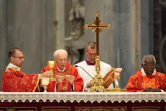 নতুন পোপ নির্বাচন করতে ভ্যাটিকানে সমবেত হয়েছেন কার্ডিনালরা