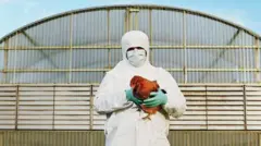 Homem com roupa de proteção segura galinha nos braços