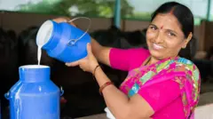 બીબીસી ગુજરાતી, ગુજરાત, બીબીસી, દૂધ ઉત્પાદન, ડેરી ઉદ્યોગ, દૂધમાં ભાવફેર, સાબરકાંઠા, બનાસકાંઠા, અમૂલ
અમુલ, ડેરી, દૂધ, સાબર ડેરી, સાબરકાંઠા, દૂધના ભાવ, દૂધના ભાવફેર, ખેડૂતોનો વિરોધ, પશુપાલકોનો વિરોધ, અમુલ ડેરી, દૂધની કિંમતો, બીબીસી, બીબીસી ન્યુઝ ગુજરાતી, ગુજરાત