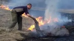 пожежі в Україні