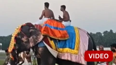 கேரளாவில் அல்பாசி ஆராட்டு விழாவுக்காக மூடப்பட்ட விமான நிலைய ஓடுதளம்