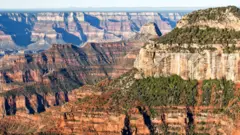 Panoramic view of Grand Canyon North Rim from Bright Angel Point, Arizona, USA