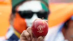 क्रिकेट