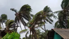 "බුරවී" සුළි කුණාටුව