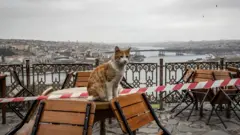 Стамбул